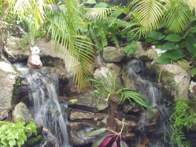 Image 25 of 28  -  66 kB